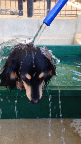 ファイル 2016-06-11 19 25 09