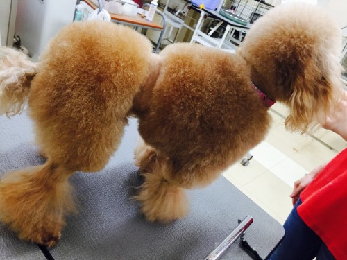 写真 2016-06-16 18 50 50