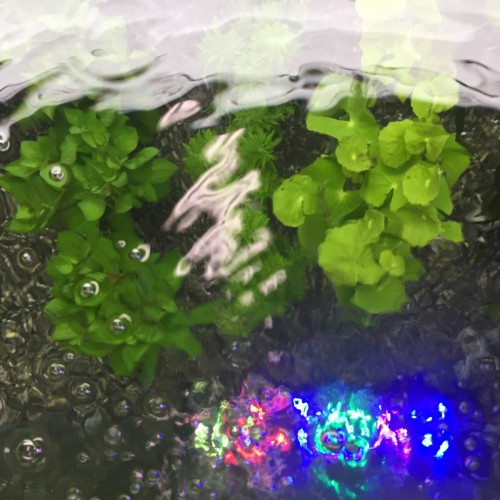 ファイル 2016-06-07 19 05 02