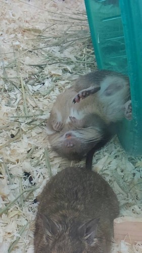 写真 2016-06-27 17 09 44