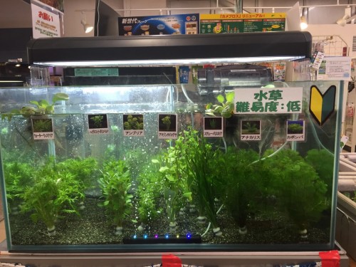 ファイル 2016-06-07 19 03 47