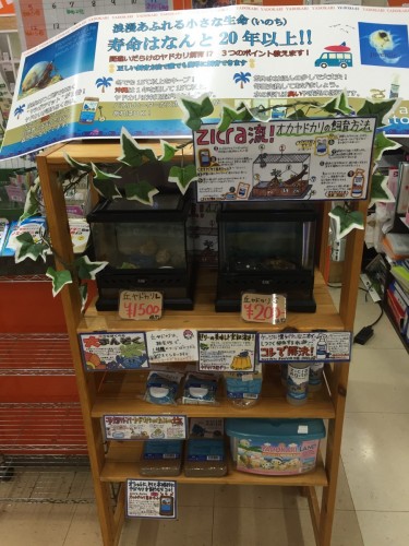 写真 2016-06-23 20 30 43