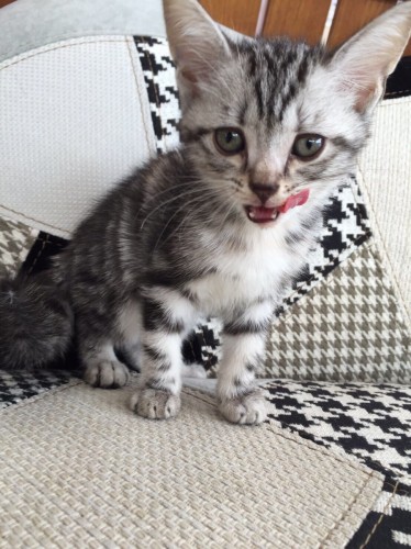 写真 2016-06-24 14 50 30