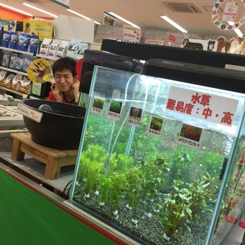 ファイル 2016-06-07 19 04 33