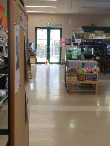 ファイル 2016-06-09 20 13 16