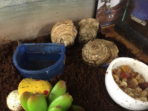 写真 2016-06-23 20 23 22