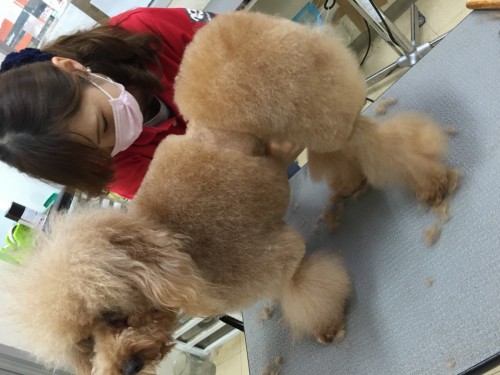 写真 2016-06-16 18 19 32