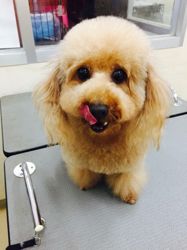 写真 2016-06-16 18 50 21