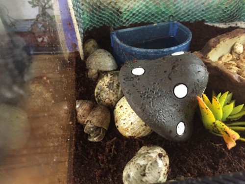 写真 2016-06-23 20 22 48