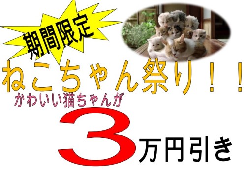 写真 2016-06-09 19 05 25