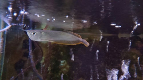 写真 2016-07-17 18 22 17