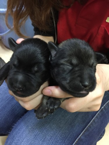 ファイル 2016-07-11 21 44 55