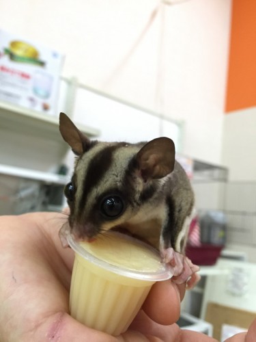 写真 2016-06-27 19 26 01