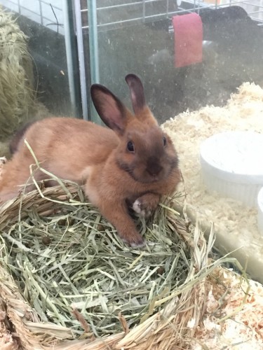 写真 2016-07-17 10 15 40