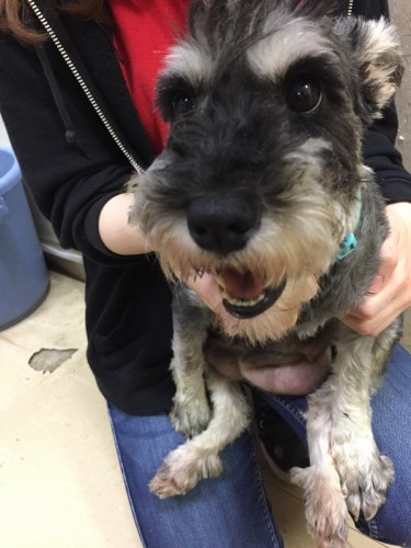 ファイル 2016-07-11 21 45 18