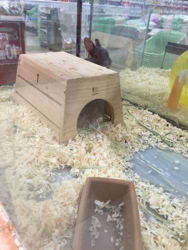 写真 2016-07-09 20 39 53