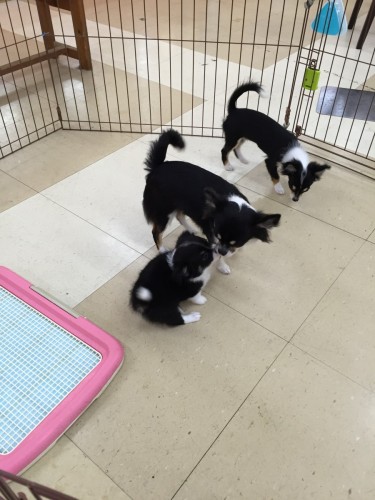 ファイル 2016-07-05 21 39 36