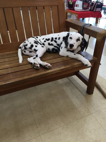 写真 2016-07-21 15 05 36