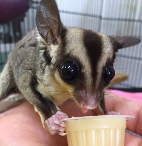 写真 2016-07-12 15 32 13