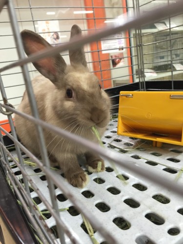 写真 2016-07-09 20 39 18