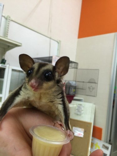 写真 2016-06-27 19 26 09