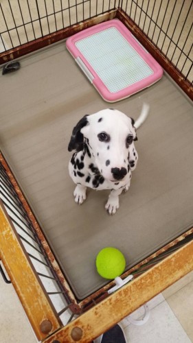 ファイル 2016-07-05 21 23 39