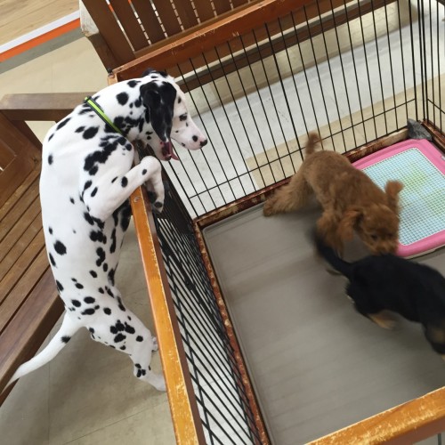 ファイル 2016-07-29 22 18 09