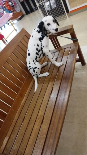 ファイル 2016-08-20 21 11 20