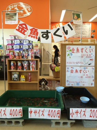 ファイル 2016-08-11 14 40 55