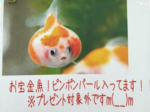 ファイル 2016-08-11 14 40 29