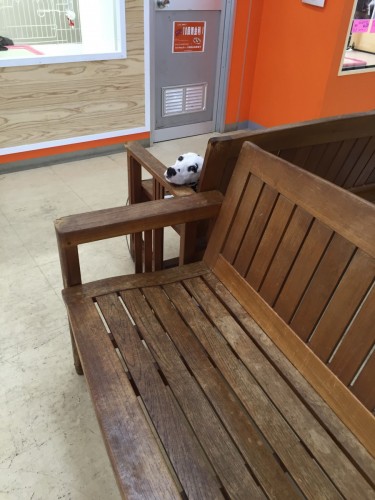 写真 2016-08-22 12 20 47