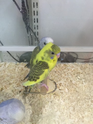 写真 2016-08-01 11 56 14