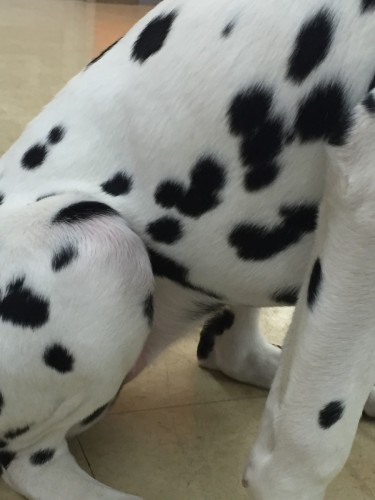 写真 2016-08-04 15 50 20