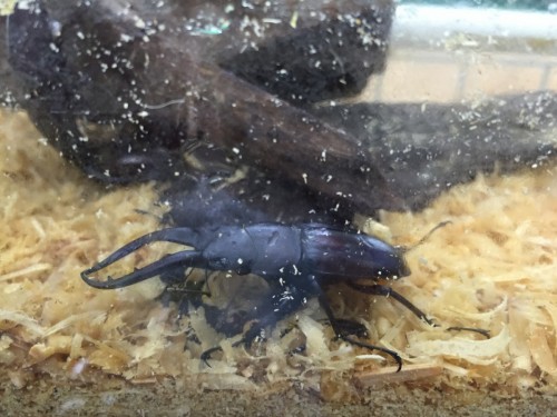 ファイル 2016-08-08 19 55 58