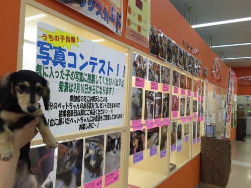 ファイル 2016-08-20 21 04 56