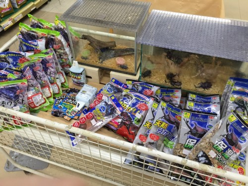 ファイル 2016-08-08 20 04 58