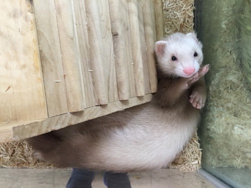 写真 2016-09-15 20 52 57