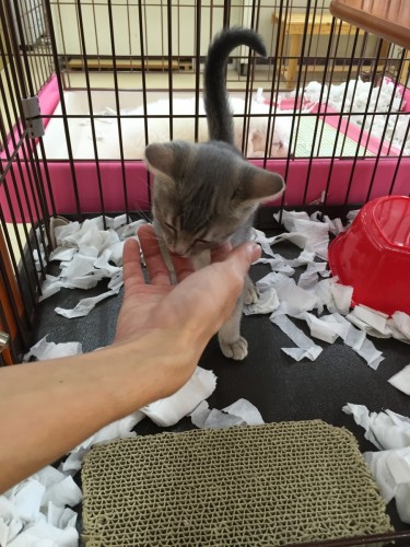 ファイル 2016-09-23 19 01 55