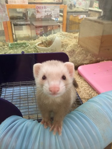 写真 2016-09-15 20 53 31