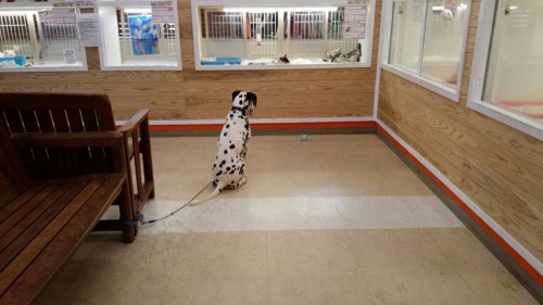 ファイル 2016-09-17 21 27 57