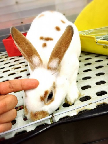 ファイル 2016-09-21 19 49 25