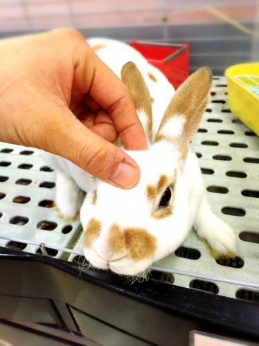 ファイル 2016-09-21 19 50 00