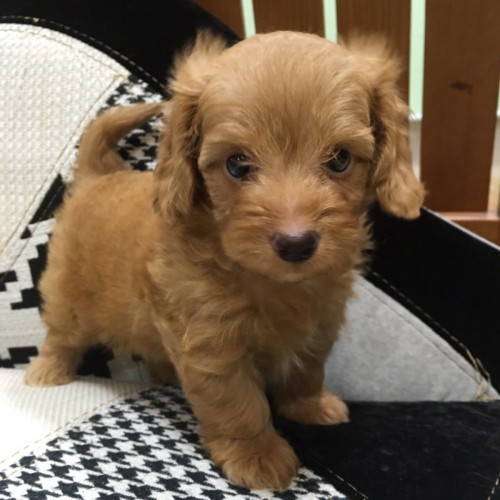 写真 2016-09-10 20 23 47