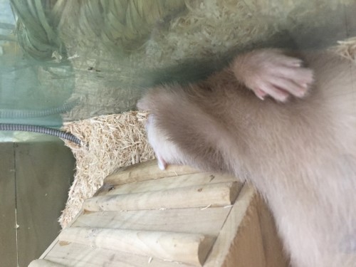 写真 2016-09-15 20 52 37