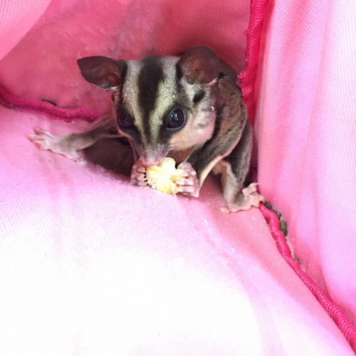 写真 2016-09-01 12 11 26