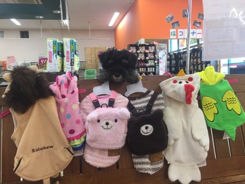 写真 2016-09-29 14 45 29