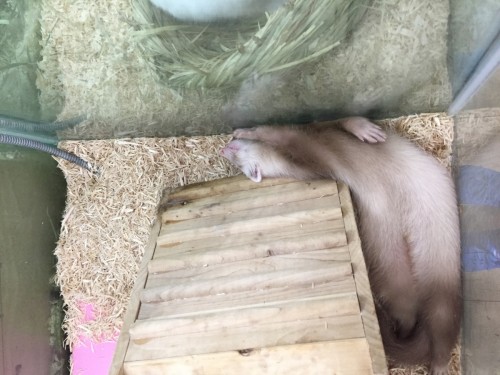 写真 2016-09-15 20 52 45