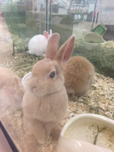 写真 2016-09-29 14 48 51