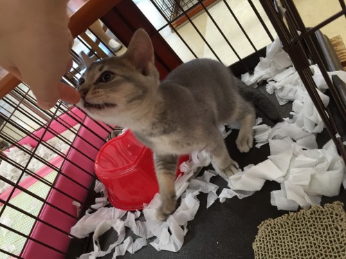 ファイル 2016-09-23 18 58 22