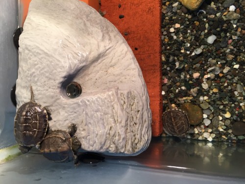 写真 2016-09-19 20 35 15